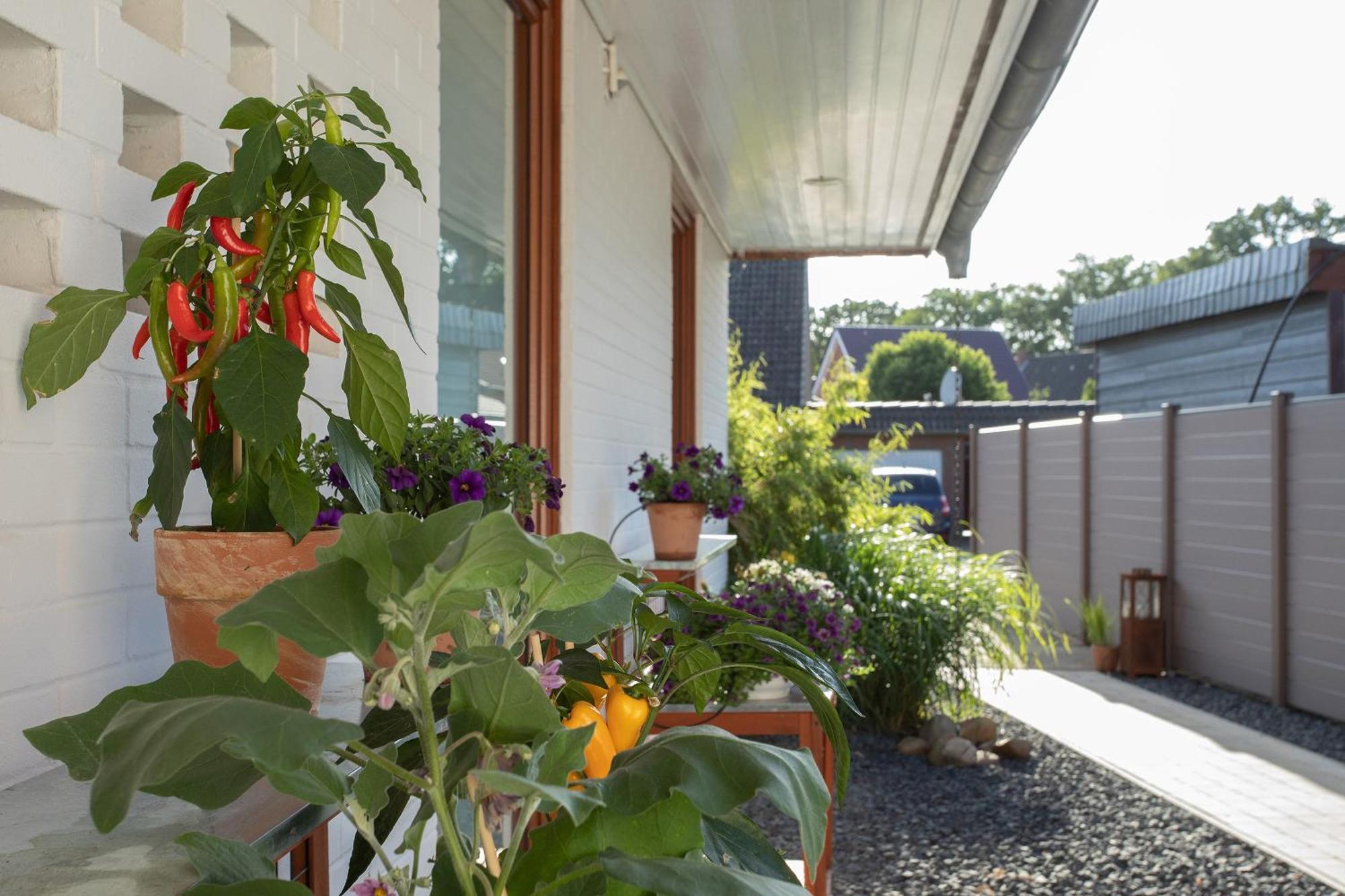 Ferienwohnung Aurora Winsen  ภายนอก รูปภาพ